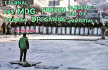IMG_0348.png