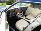 MustangII_interior.jpg