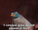 IMG_1267.png