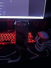 IMG_2905.jpeg