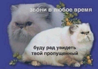 1748513885477.png