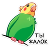1748526426482.png
