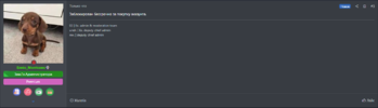 1750427628392.png