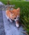 {83A4E4DD-405C-4F84-99F8-EB9AFA219028}.png