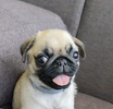 1753274519265.png