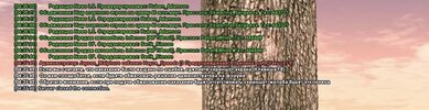 IMG_3049.jpeg