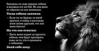 РОУФЫРУРФЦУРФЦУРФЦУРФ.jpg