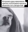IMG_4900.jpeg