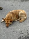 IMG_2531.jpeg