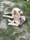 IMG_2538.jpeg