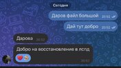 IMG_3208.jpeg