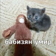shalapay