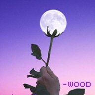 Woodik.bratiq