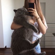 Ami_Meow