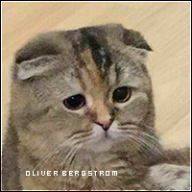 Oliver_Bergstrom