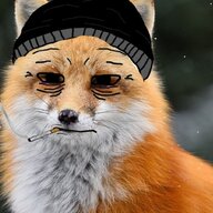 Foxyàã
