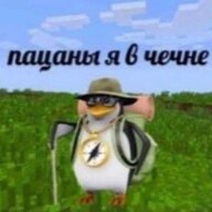 yafedot