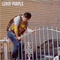 Leroy Purple