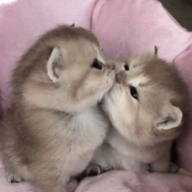 Kunkka_Splashmasterr