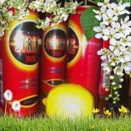 Nine May
