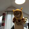 Andrey_Rіch