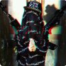 Morello_ Dynasty