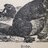 Karl_Gerner