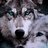 Maik_Cox