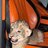 Tofik_Escalente